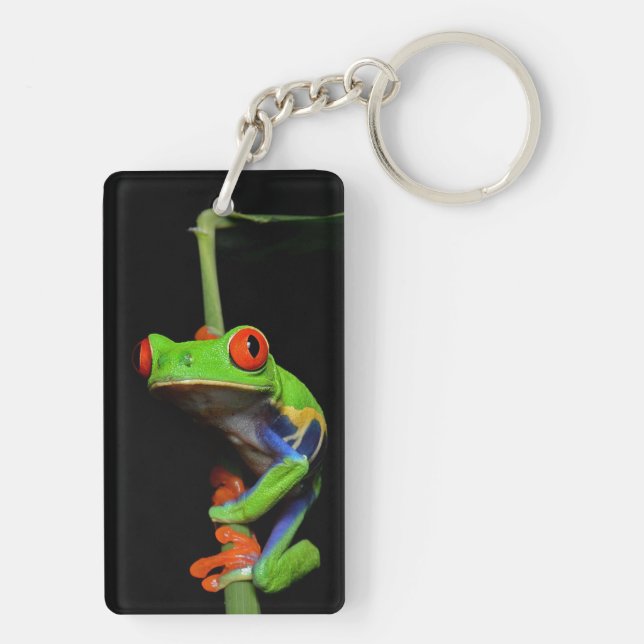 Red Eyed Painted Tree Frog Keychain (Back)