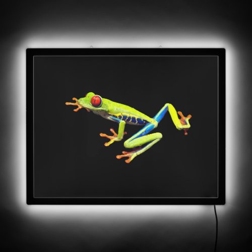 Red Eyed Painted Tree Frog  LED Sign