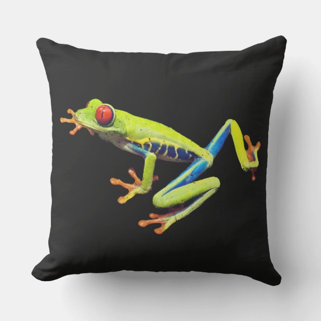 Red Eyed Painted Tree Frog  Outdoor Pillow (Front)