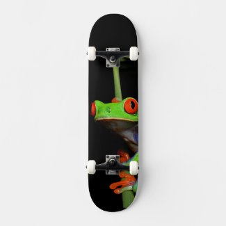 Red Eyed Painted Tree Frog
