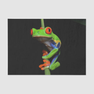 Red Eyed Painted Tree Frog Tissue Paper
