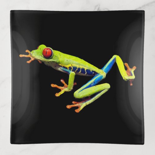 Red Eyed Painted Tree Frog  Trinket Tray