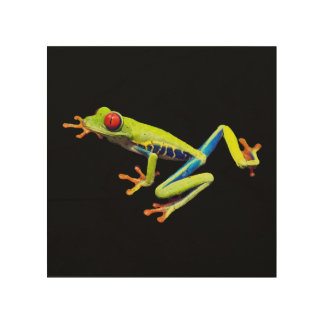 Red Eyed Painted Tree Frog Wood Wall Art