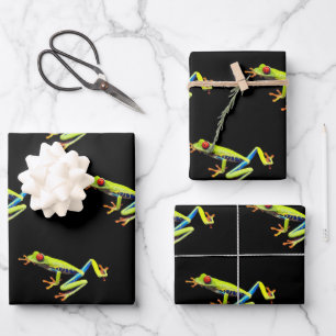Red Eyed Painted Tree Frog  Wrapping Paper Sheets