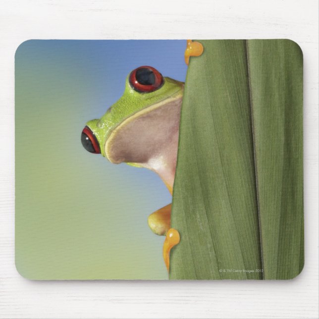 Red Eyed Tre Frog Peeking From Behind a Leaf Mouse Pad (Front)