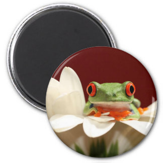 Frog Refrigerator Magnets | Zazzle