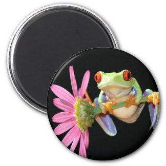 Frog Refrigerator Magnets | Zazzle