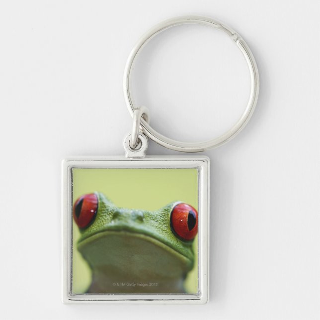 Red-eyed tree frog (Agalychnis callidryas) 2 Keychain (Front)