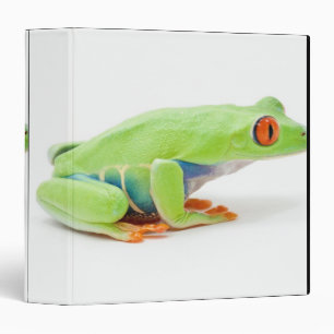 Red-Eyed Tree Frog (Agalychnis Callidryas) 3 Ring Binder