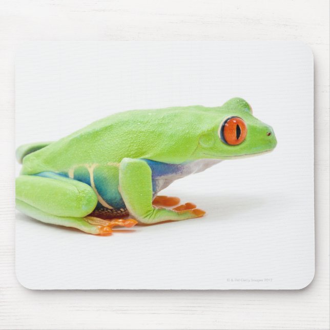 Red-Eyed Tree Frog (Agalychnis Callidryas) Mouse Pad (Front)
