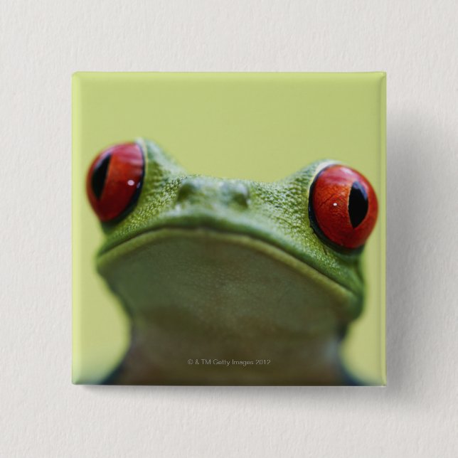 Red-eyed tree frog (Agalychnis callidryas) Pinback Button (Front)