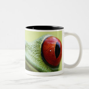 Red-eyed tree frog (Agalychnis callidryas) Two-Tone Coffee Mug