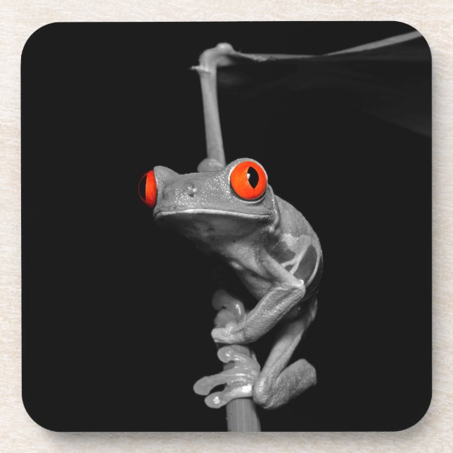 Red Eyed Tree Frog Beverage Coaster (Front)