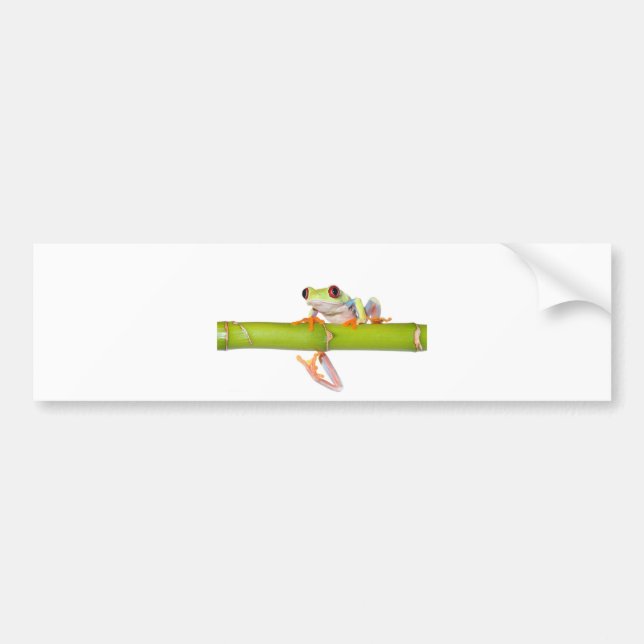 red eyed tree frog bumper sticker (Front)