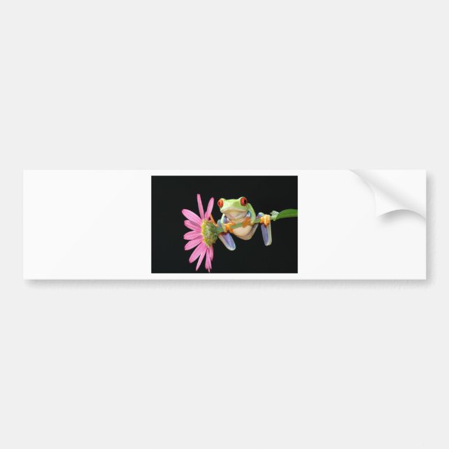 red eyed tree frog bumper sticker (Front)