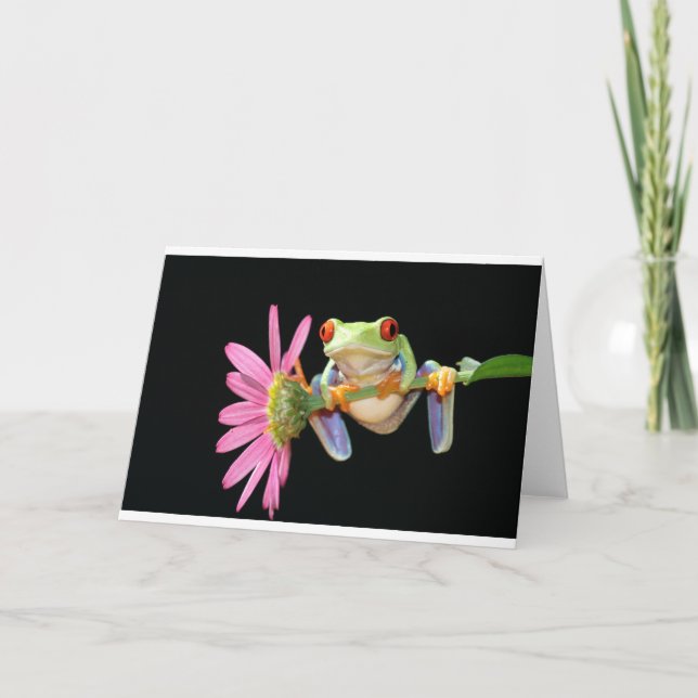 red eyed tree frog card (Front)