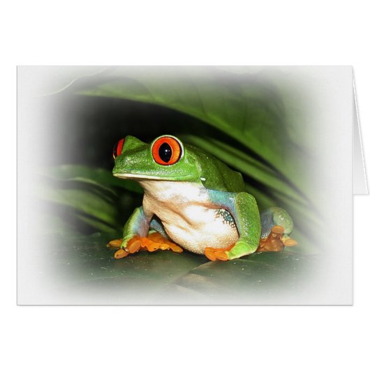 Red-eyed Tree Frog Cards (Front Horizontal)