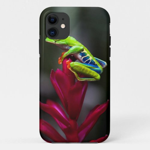 Red_eyed Tree Frog iPhone 11 Case