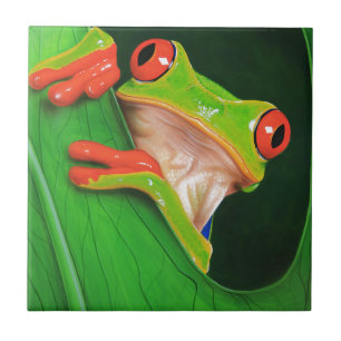 Red Eyed Tree Frog Ceramic Tile