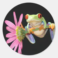 Cute Frog Gifts The Frog Whisperer' Sticker