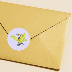 Red Eyed Tree Frog Classic Round Sticker