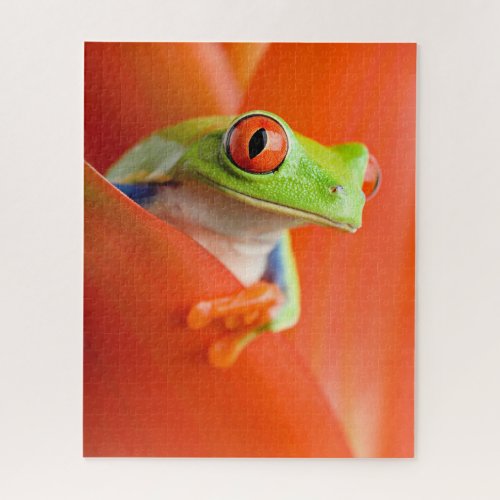 Red_eyed Tree Frog Close_up Jigsaw Puzzle