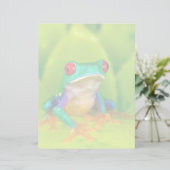 Red-eyed tree frog, Costa Rica (Standing Front)