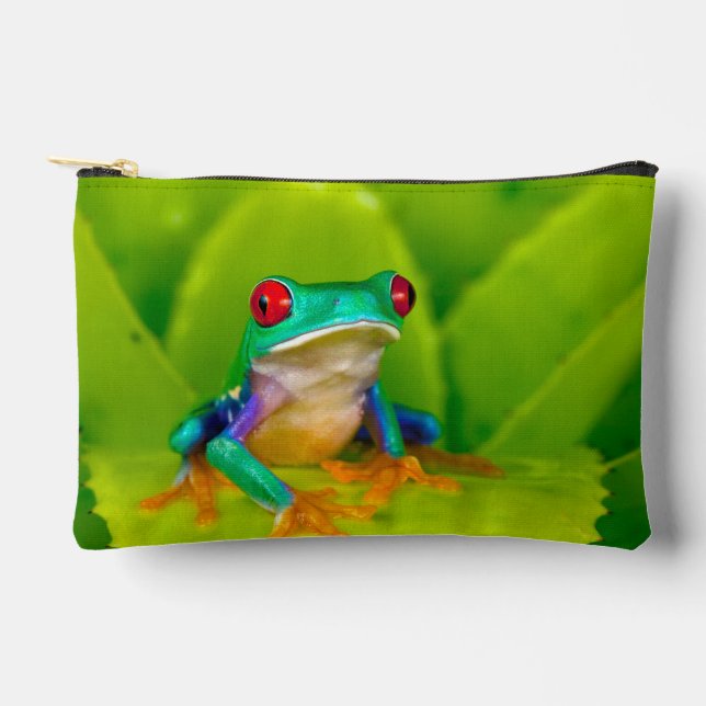 Red-eyed tree frog, Costa Rica Accessory Pouch (Front)