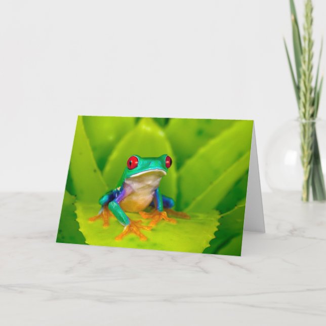 Red-eyed tree frog, Costa Rica Card (Front)