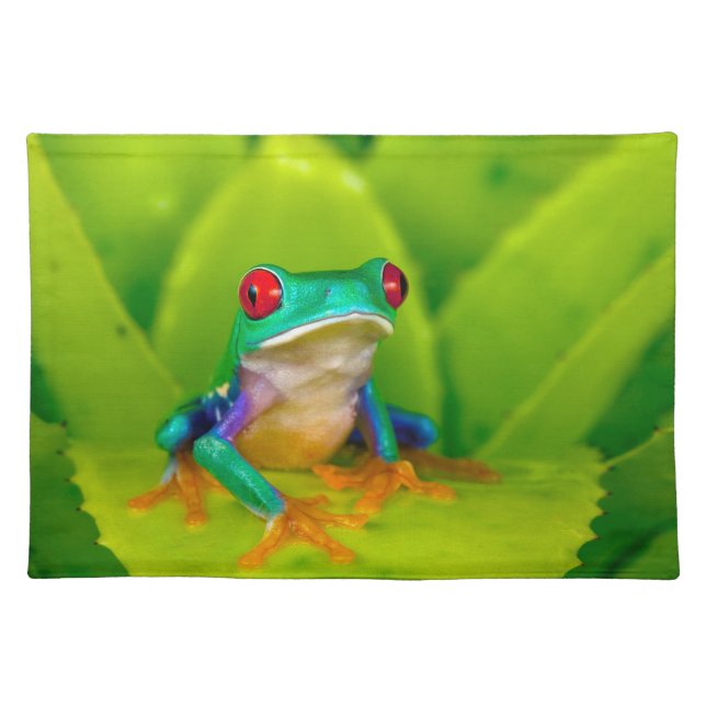 Red-eyed tree frog, Costa Rica Cloth Placemat (Front)