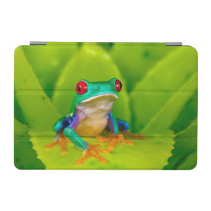 Red-eyed tree frog, Costa Rica iPad Mini Cover
