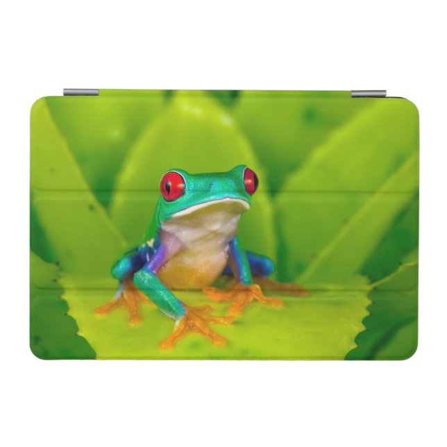 Red-eyed tree frog, Costa Rica iPad Mini Cover (Horizontal)
