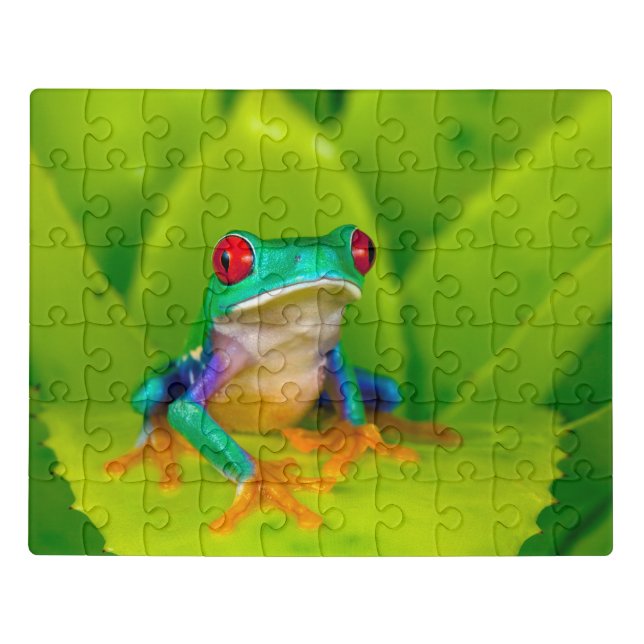 Red-eyed tree frog, Costa Rica Jigsaw Puzzle (Puzzle Horizontal)