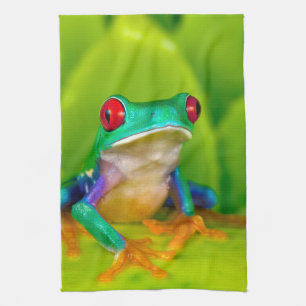 Red-eyed tree frog, Costa Rica Kitchen Towel