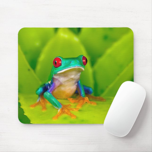 Red-eyed tree frog, Costa Rica Mouse Pad (With Mouse)