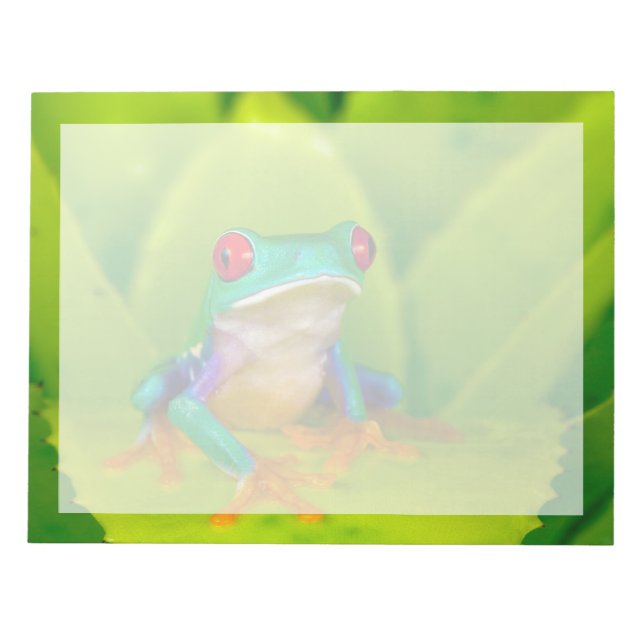 Red-eyed tree frog, Costa Rica Notepad (Front)