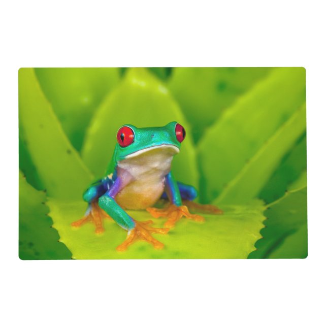 Red-eyed tree frog, Costa Rica Placemat (Front)