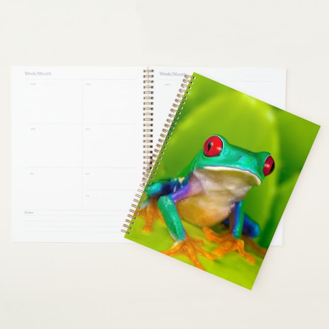 Red-eyed tree frog, Costa Rica Planner (Display)