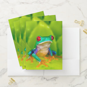 Red-eyed tree frog, Costa Rica Pocket Folder