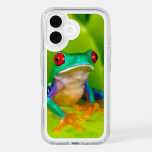 Red-eyed tree frog, Costa Rica iPhone 16 Case