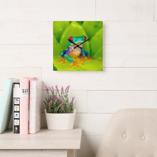 Red-eyed tree frog, Costa Rica Square Wall Clock (Reading Room)