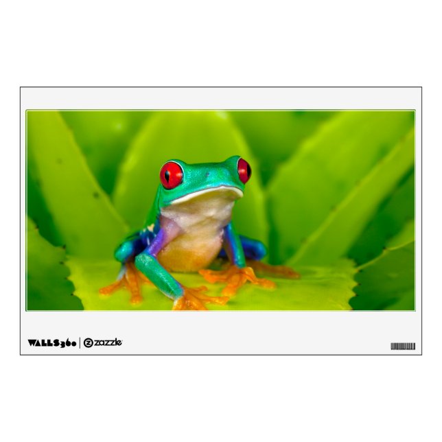Red-eyed tree frog, Costa Rica Wall Decal (Front)