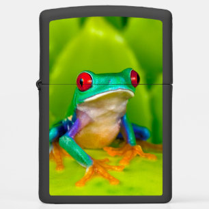 Red-eyed tree frog, Costa Rica Zippo Lighter