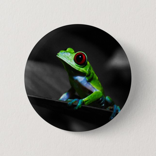 Red Eyed Tree Frog III Button (Front)