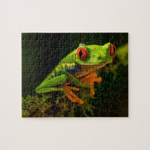 Red Eyed Tree Frog Jigsaw Puzzle