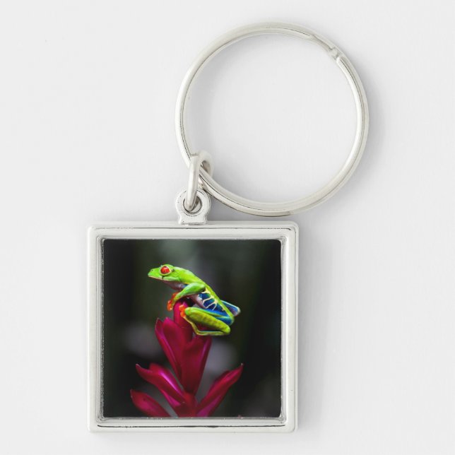 Red-eyed Tree Frog Keychain (Front)