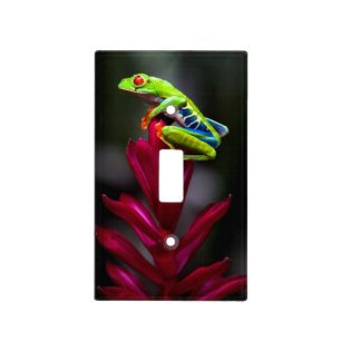 Red-eyed Tree Frog Light Switch Cover