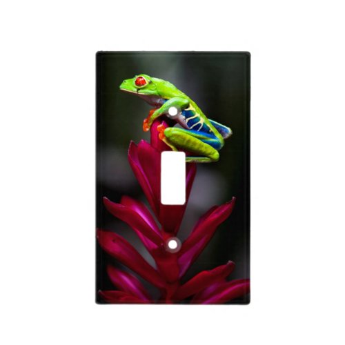 Red_eyed Tree Frog Light Switch Cover