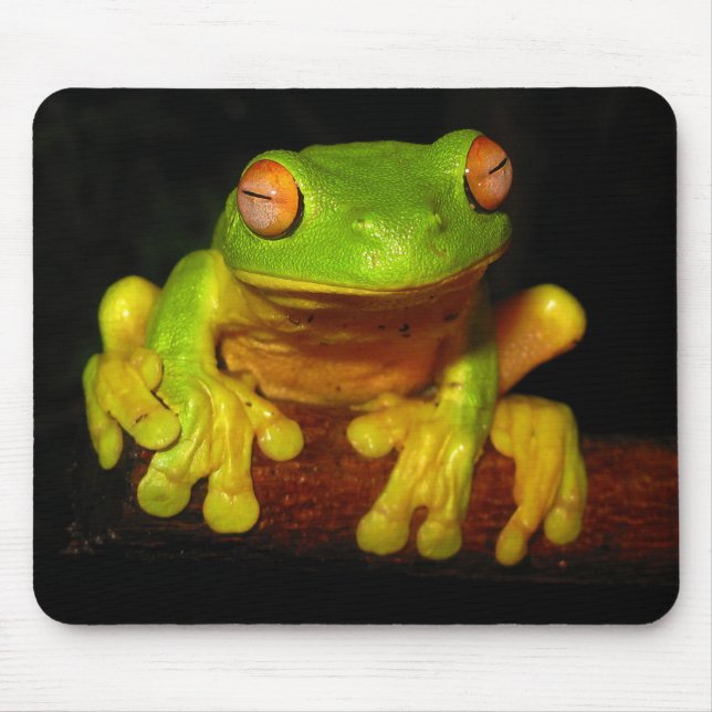 Red Eyed Tree Frog Mouse Pad (Front)