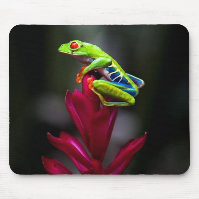 Red-eyed Tree Frog Mouse Pad (Front)